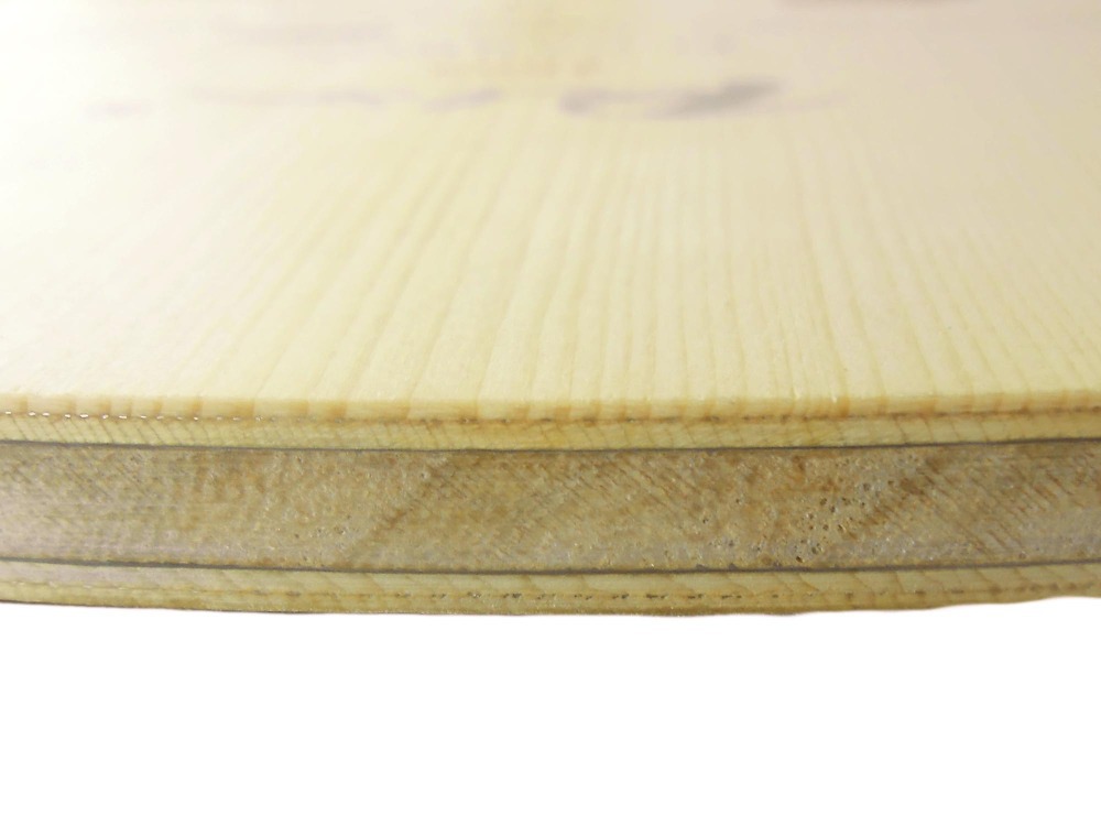 PALIO 8603 Carbon Titanium rak – Table Tennis Padel recenzja i cena